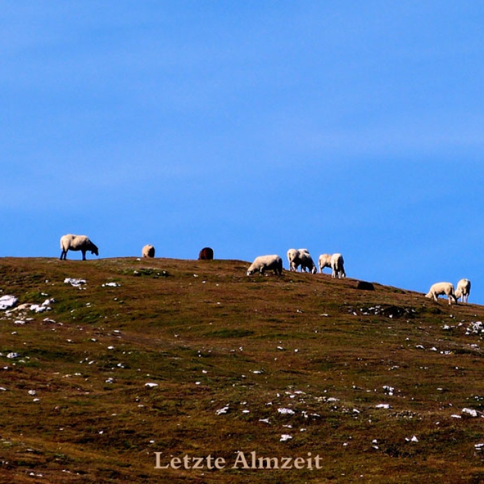 steinwanderung_altpragsertal_28