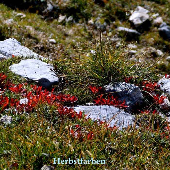 steinwanderung_altpragsertal_44