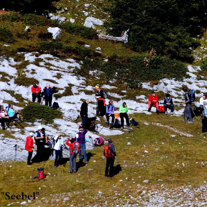 steinwanderung_altpragsertal_55