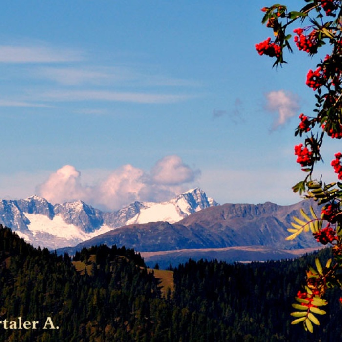 steinwanderung_altpragsertal_58