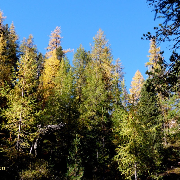 steinwanderung_altpragsertal_9