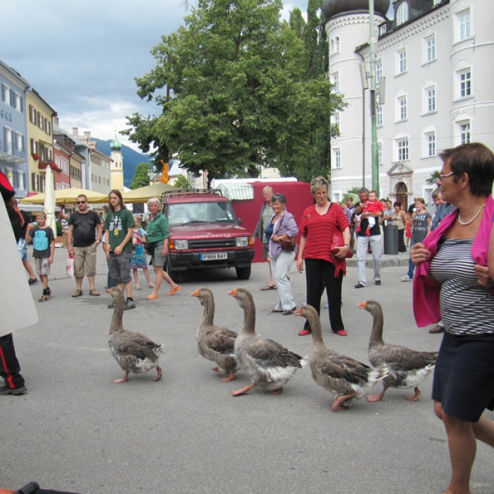 strassentheater_festival24