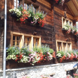 schweiz_2019_23