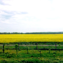 puszta_ungarn_7