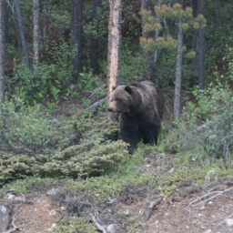 kanada_alaska_rundreise_23