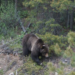kanada_alaska_rundreise_24