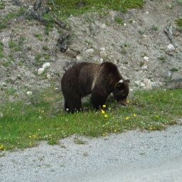 kanada_alaska_rundreise_25