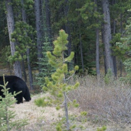 kanada_alaska_rundreise_56