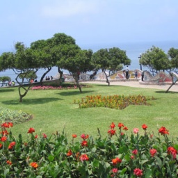 lima_8