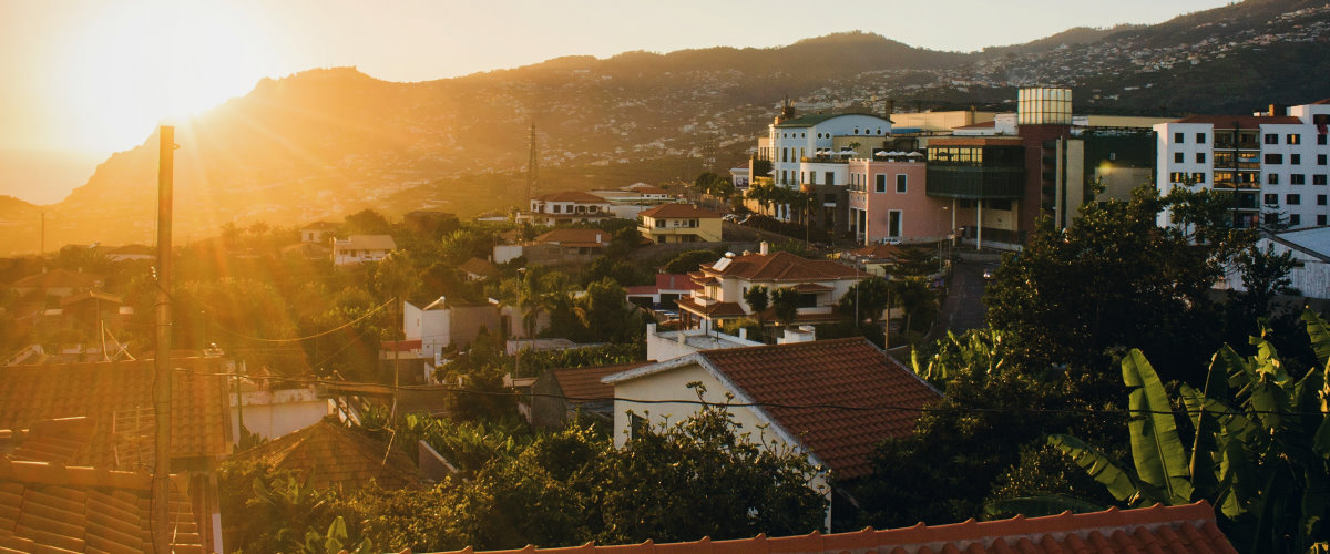 Madeira  / 07. - 14. November / € 1.450,-
