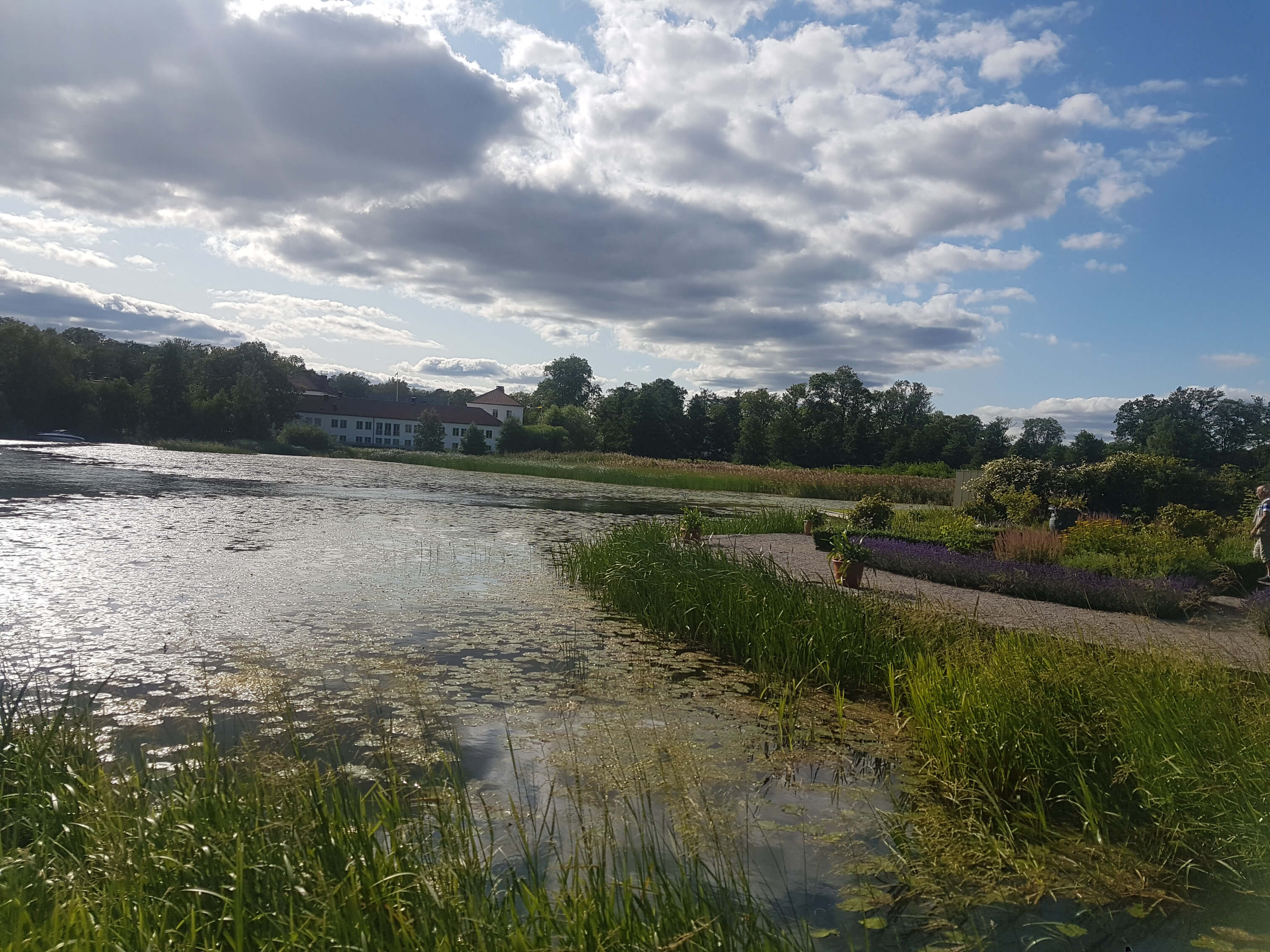 Ein malerischer See mit Pflanzen, Himmel voller Wolken und einem feinen Gebäude im Hintergrund. Ruhe und Natur.