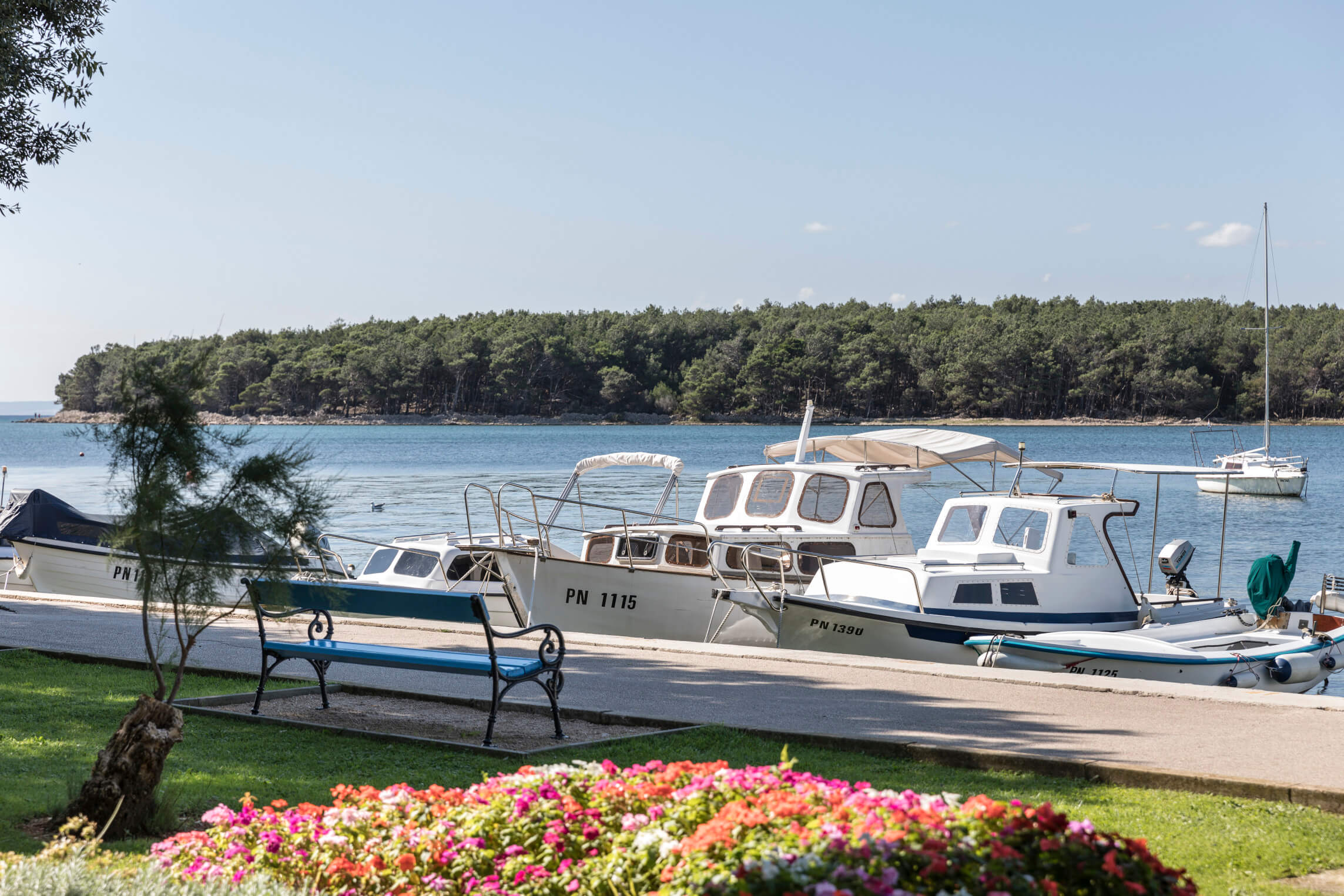 Ein ruhiger Hafen mit Booten, blühenden Blumen und Bäumen, umgeben von glänzendem Wasser und bewaldeten Ufern.