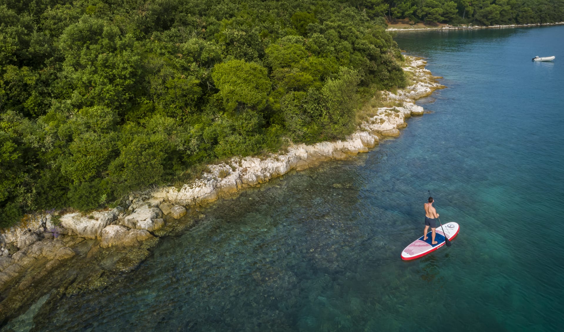 Ein Mann steht auf einem Paddle-Board im klaren Wasser, umgeben von grünen Bäumen und felsiger Küste.