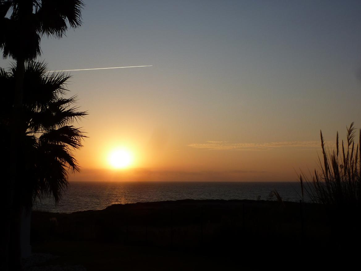 Sonnenuntergang über dem Meer, umgeben von Palmen und sanften Wellen. Eine friedliche, malerische Atmosphäre.
