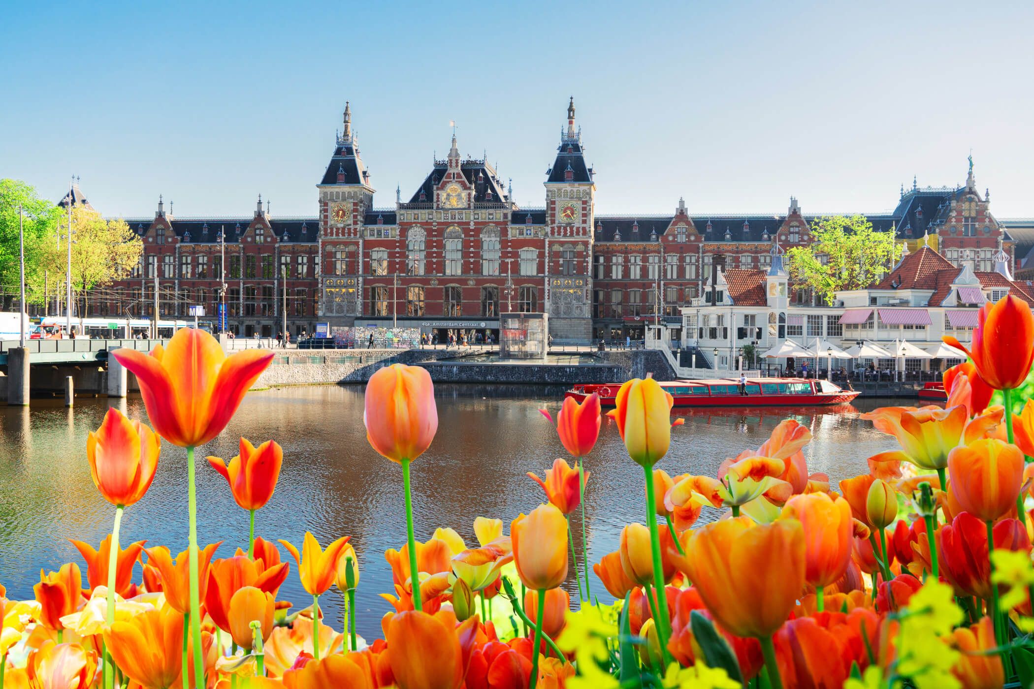 Farbenfrohe Tulpen blühen vor einem historischen Gebäude am Wasser, unter strahlend blauem Himmel.