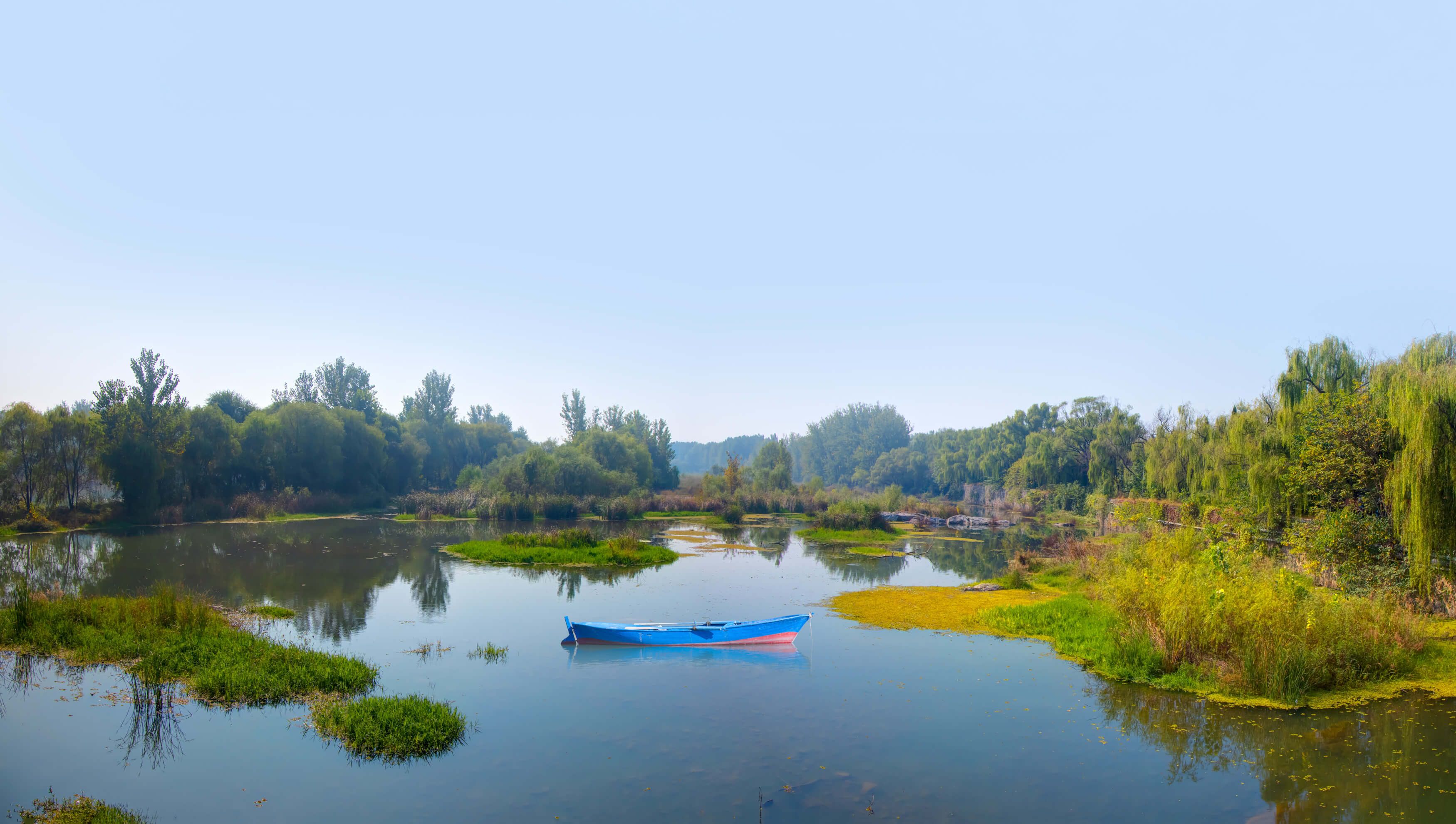 Ein ruhiger Teich mit einem blauen Boot, umgeben von üppigem Grün und sanften Pflanzen.