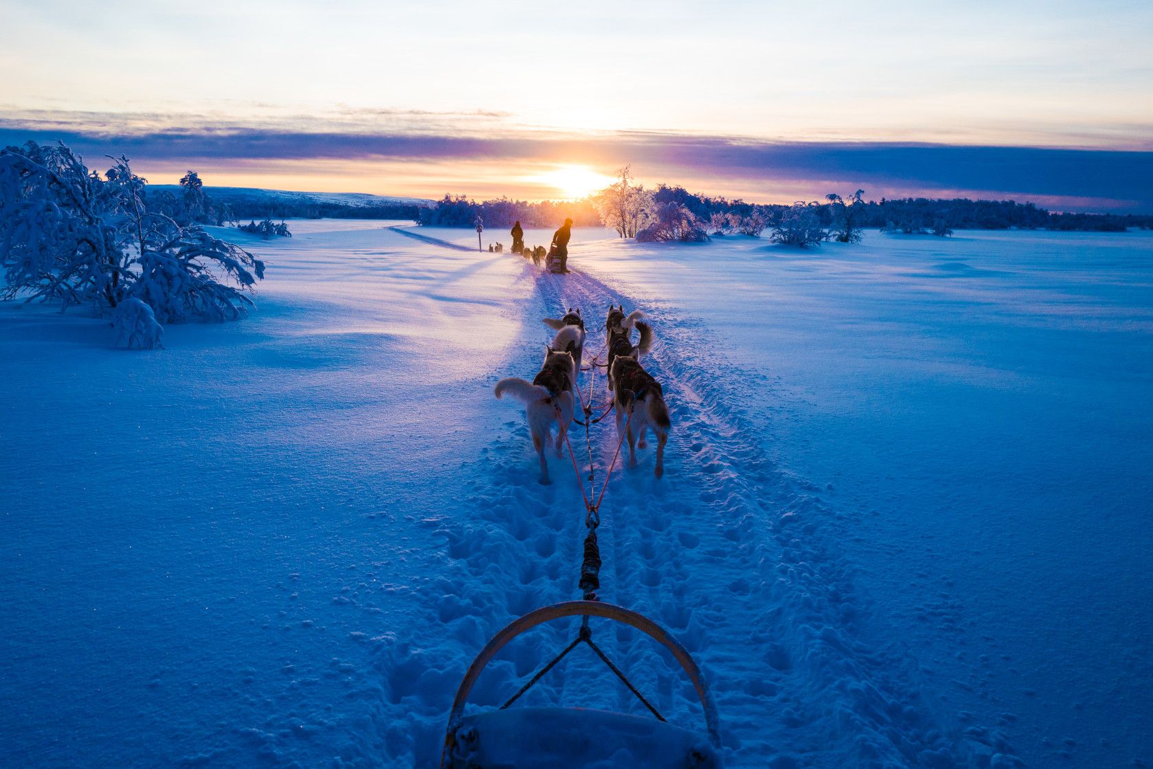 Schlittenhundeteam zieht durch glitzernden Schnee bei Sonnenaufgang. Winterlandschaft mit frostigen Bäumen.