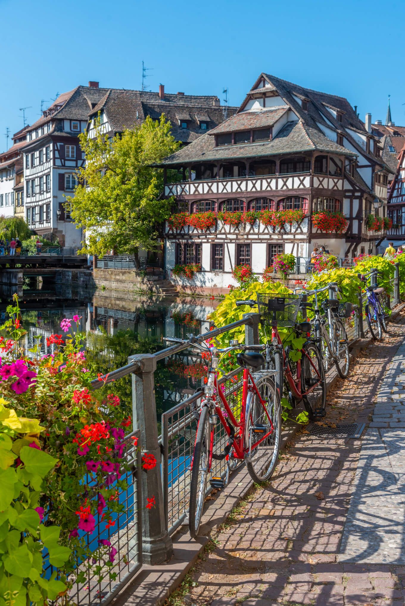 Bunte Blumen, malerische Fachwerkhäuser und Fahrräder am Ufer eines ruhigen Gewässers unter klarem, blauem Himmel.