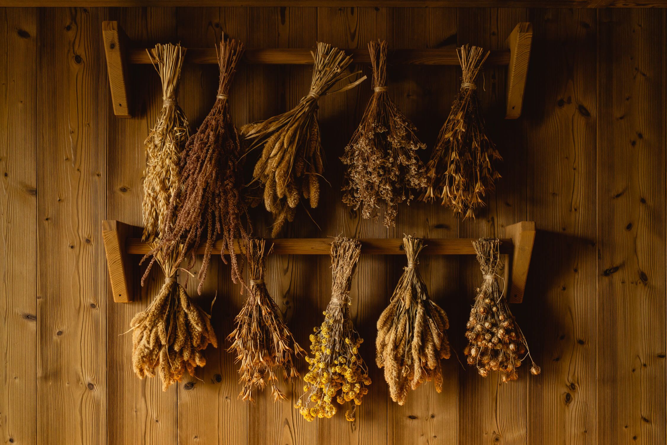 Getrocknete Kräuter und Gräser hängen ordentlich an einem Holzregal, mit warmen Erdtönen im Hintergrund.