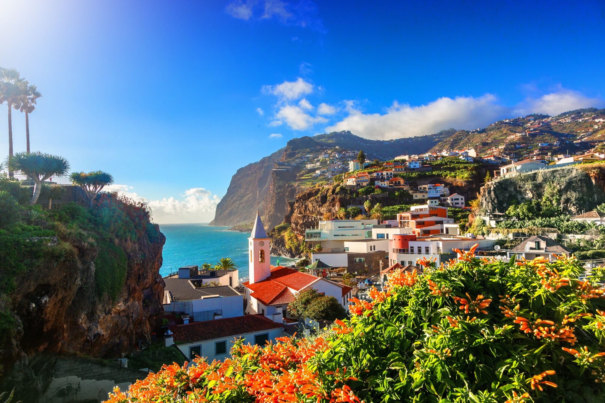 Ein malerischer Blick auf eine Küstenstadt mit Blumen, Bergen und blauem Himmel über dem Meer.