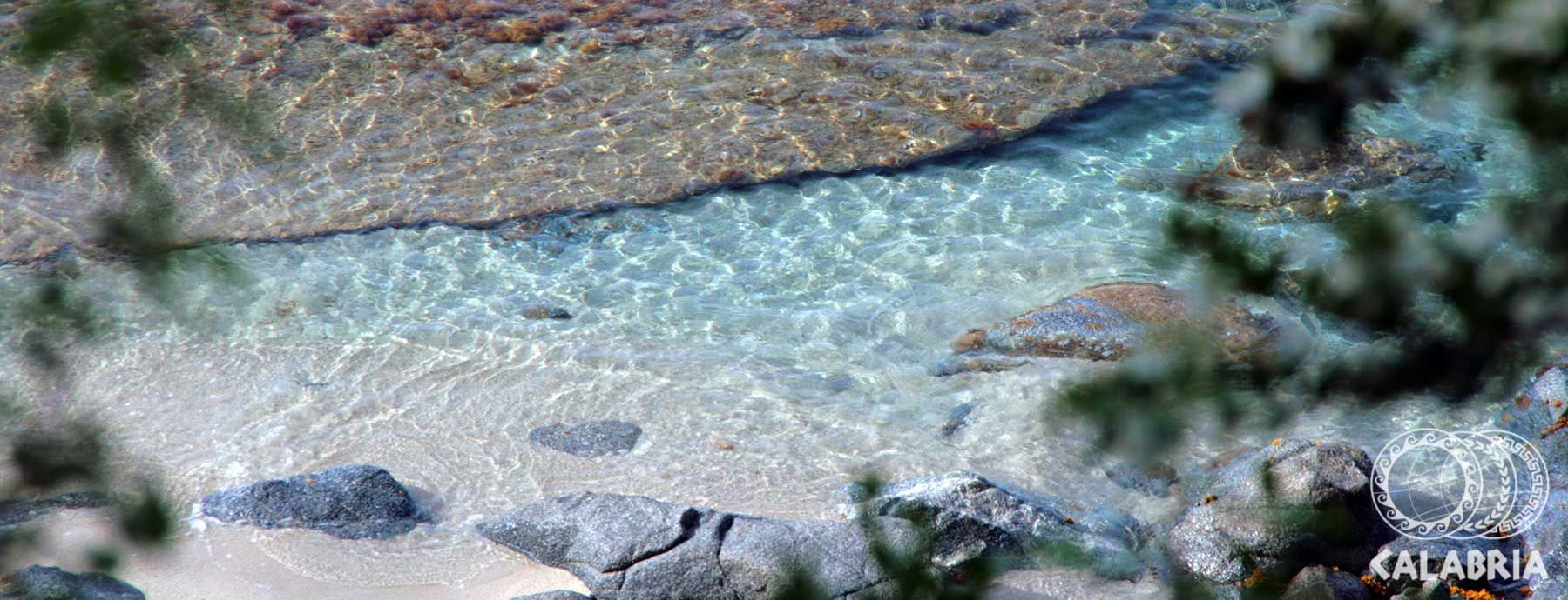 Kristallklares Wasser fließt sanft über glatte Steine und Sand, umgeben von grünen Pflanzen.