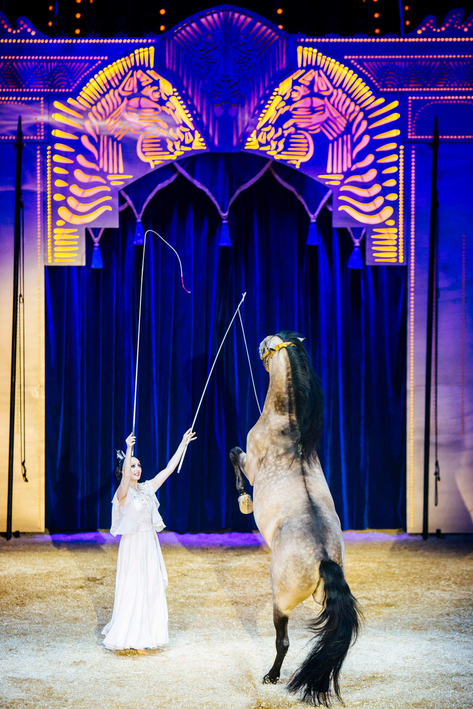 Eine Zirkuskünstlerin dirigiert ein auf den Hinterbeinen stehendes Pferd in einer festlichen Atmosphäre.