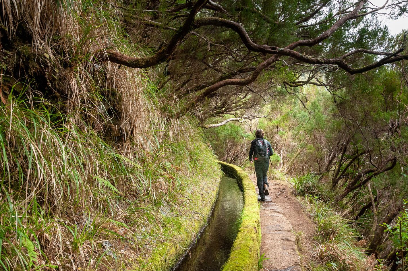 Ein Wanderer geht auf einem schmalen Pfad entlang eines Kanals, umgeben von üppiger Vegetation und Bäumen.