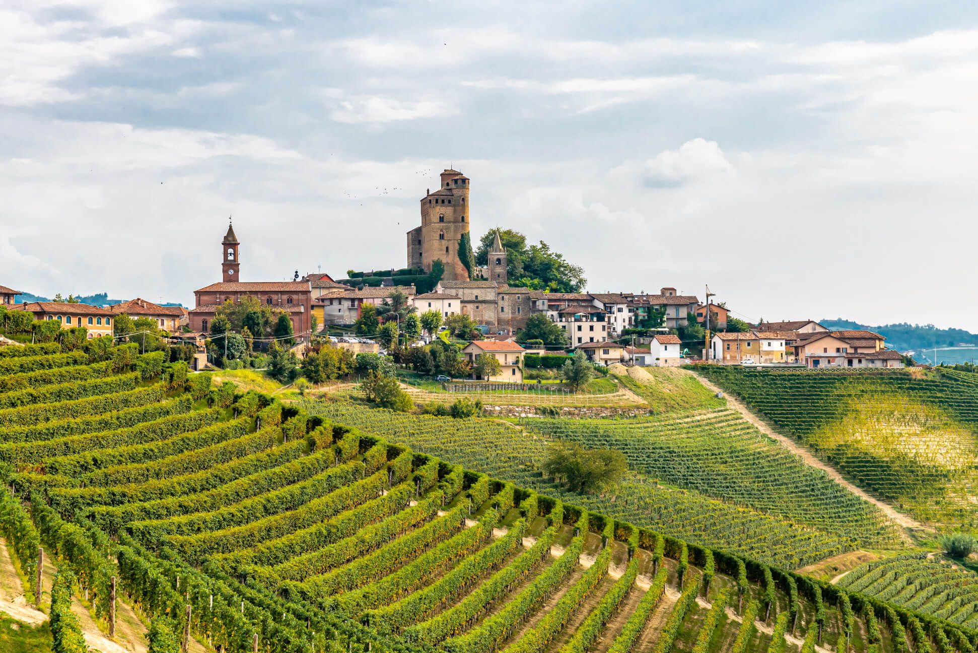 Eine malerische Weinlandschaft mit Häusern und einem historischen Turm im Hintergrund, umgeben von Weinreben.