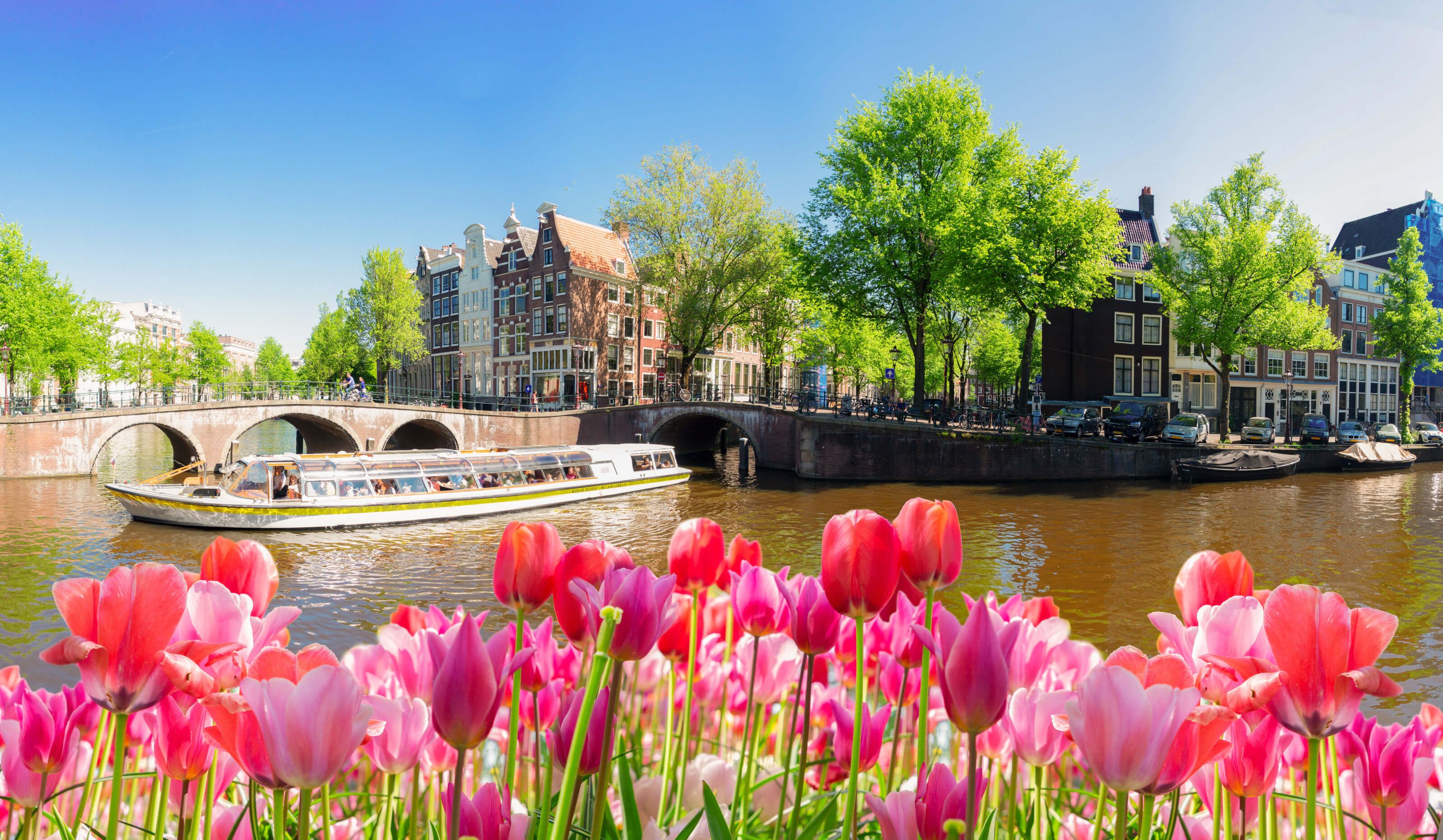 Eine malerische Szene mit einem Boot auf einem Kanal, umgeben von bunten Tulpen und grünen Bäumen in Amsterdam.