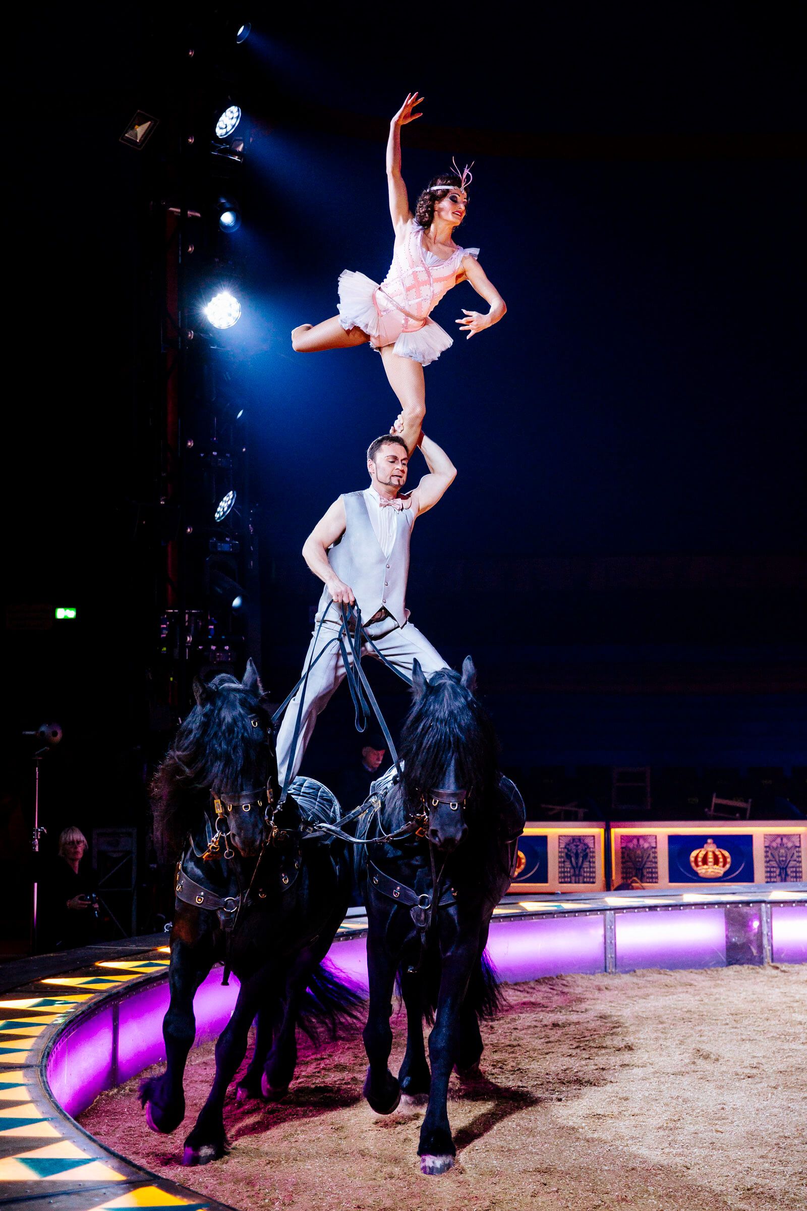 Ein Artist zeigt eine beeindruckende Darbietung auf zwei Pferden im Zirkus, während eine Akrobatin oben balanciert.